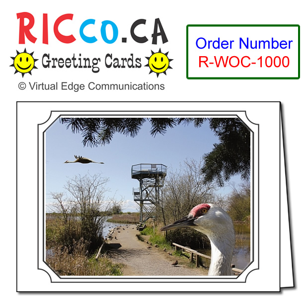 R-WOC-1000